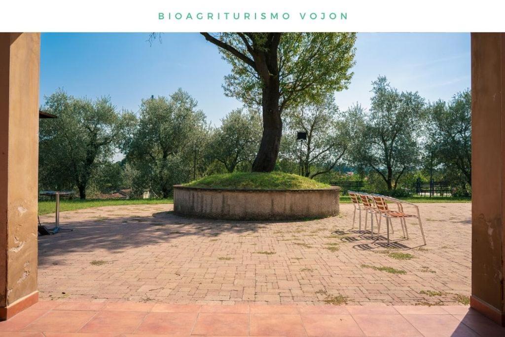 Bio Agriturismo Vojon ポンティ・スル・ミンチョ エクステリア 写真