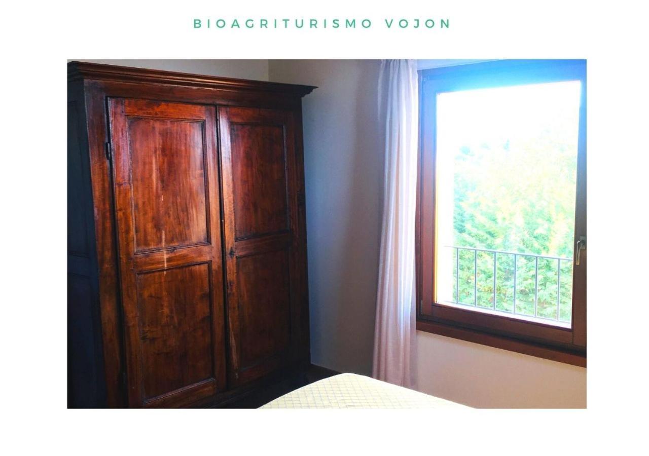 Bio Agriturismo Vojon ポンティ・スル・ミンチョ エクステリア 写真