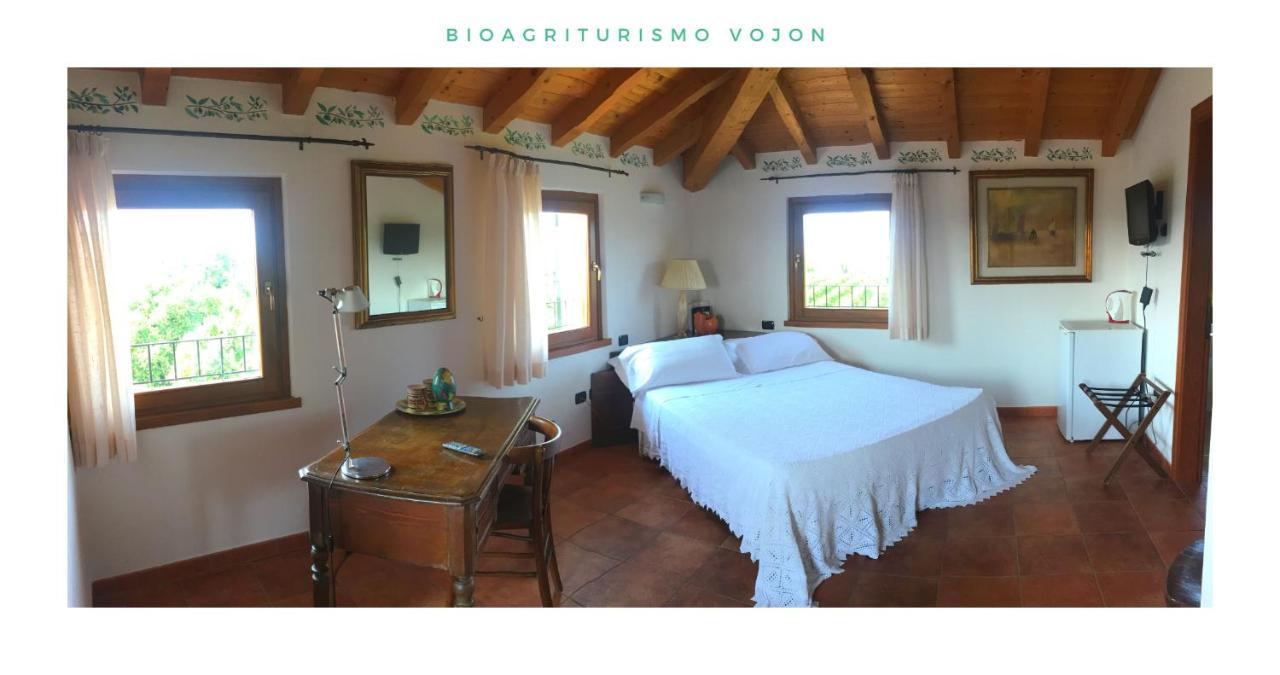 Bio Agriturismo Vojon ポンティ・スル・ミンチョ エクステリア 写真