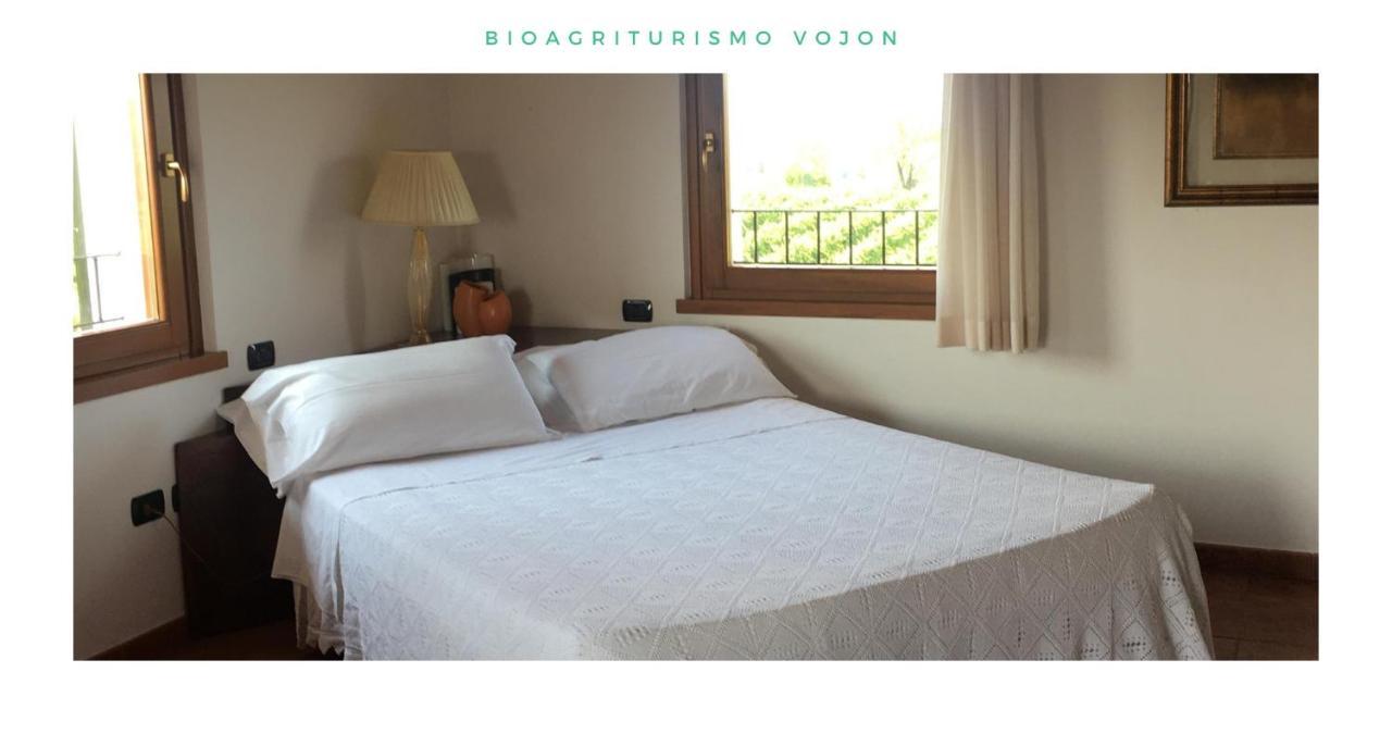 Bio Agriturismo Vojon ポンティ・スル・ミンチョ エクステリア 写真