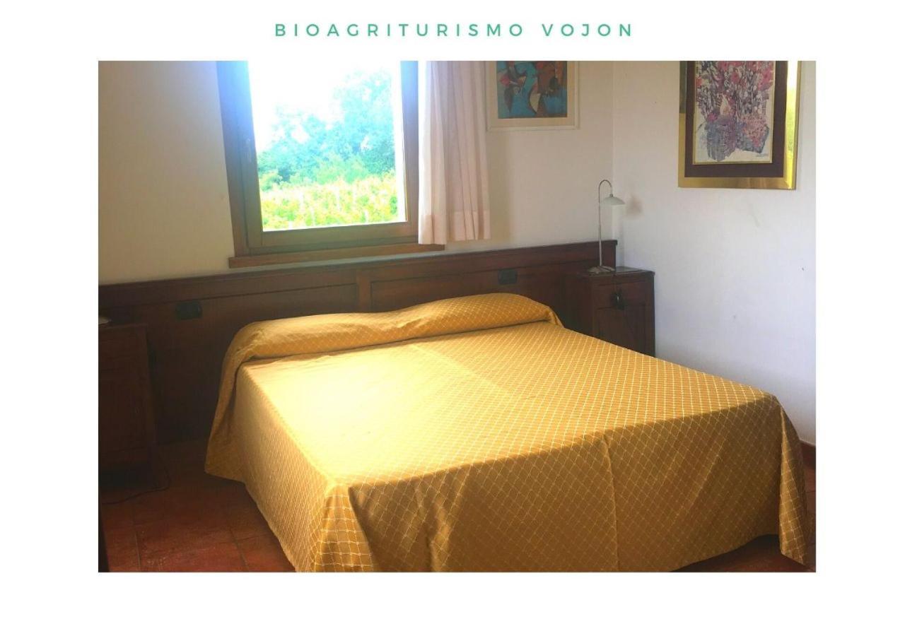 Bio Agriturismo Vojon ポンティ・スル・ミンチョ エクステリア 写真