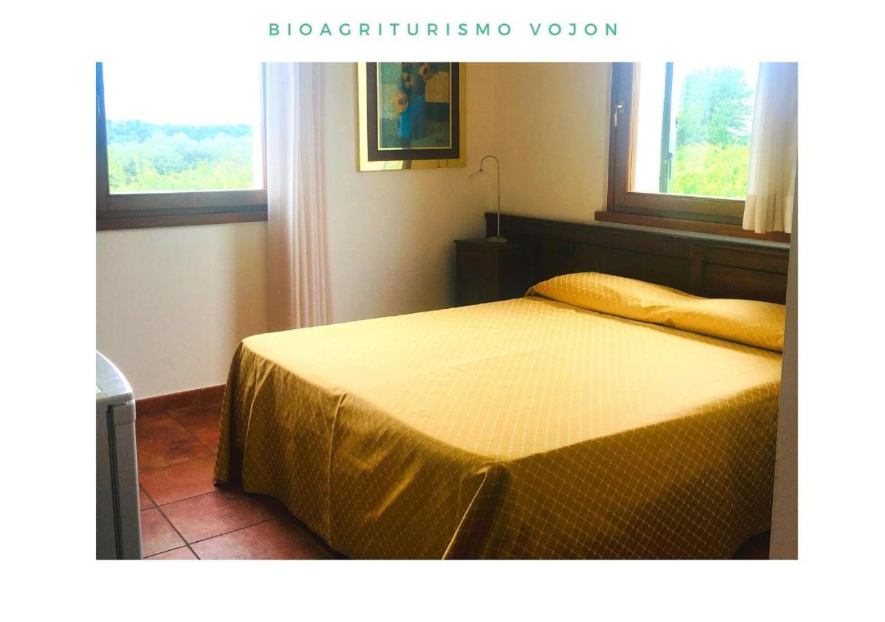 Bio Agriturismo Vojon ポンティ・スル・ミンチョ エクステリア 写真