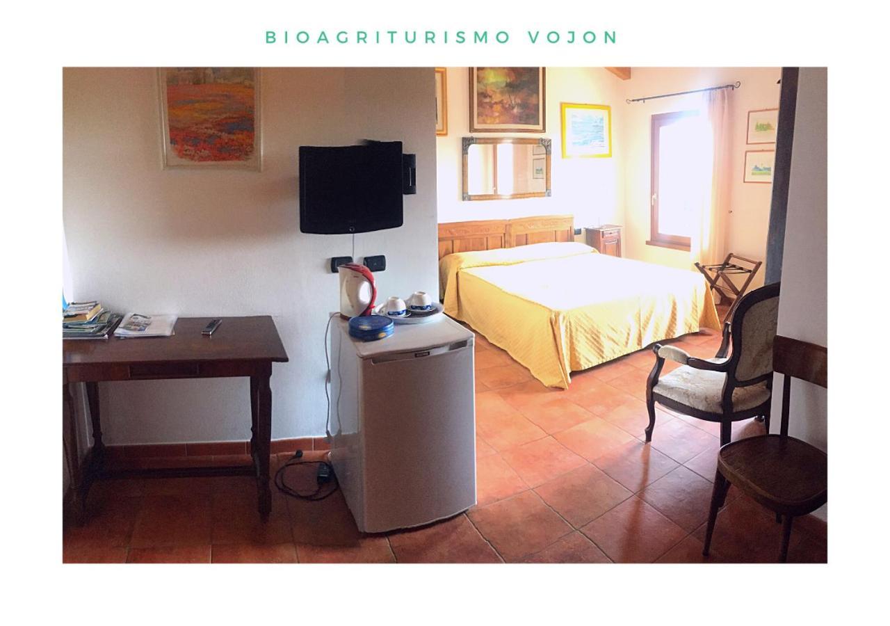 Bio Agriturismo Vojon ポンティ・スル・ミンチョ エクステリア 写真