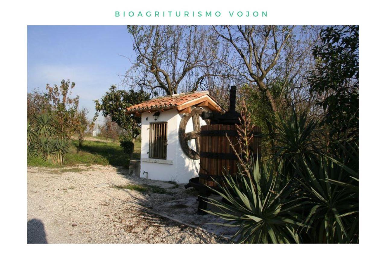 Bio Agriturismo Vojon ポンティ・スル・ミンチョ エクステリア 写真