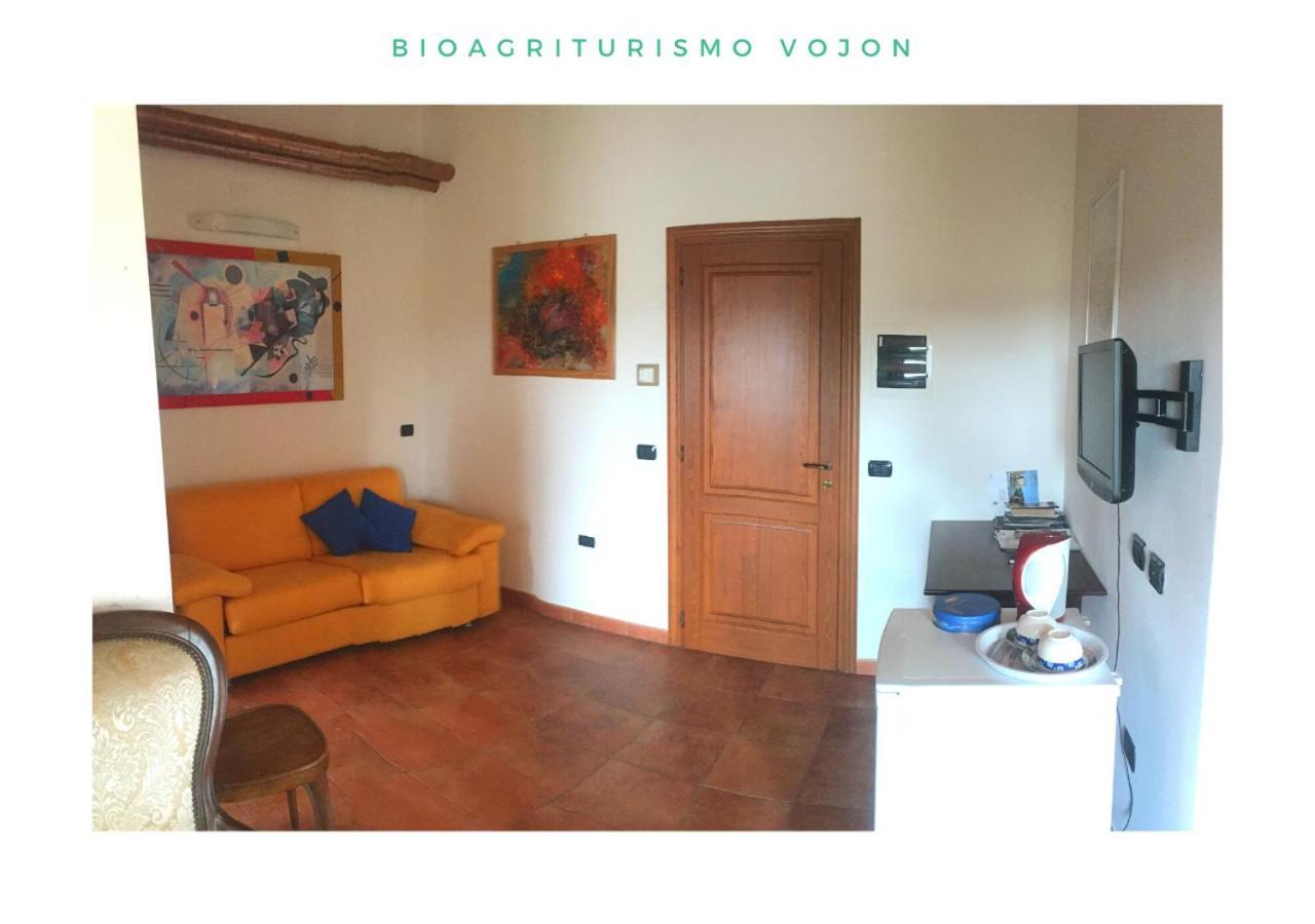 Bio Agriturismo Vojon ポンティ・スル・ミンチョ エクステリア 写真