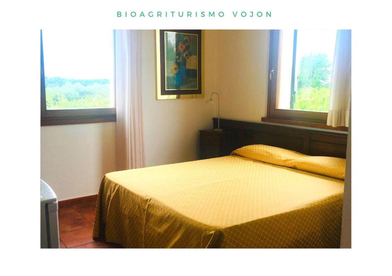 Bio Agriturismo Vojon ポンティ・スル・ミンチョ エクステリア 写真