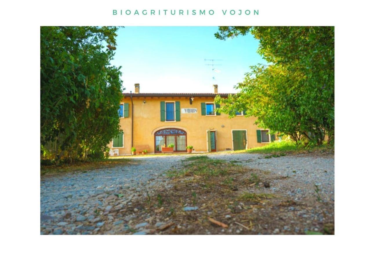 Bio Agriturismo Vojon ポンティ・スル・ミンチョ エクステリア 写真